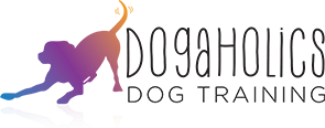 Dogaholics Dog Training & Behaviour Services