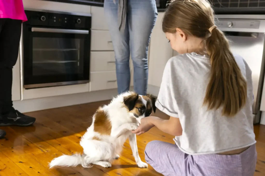 child rewarding dog paw trick at home 02