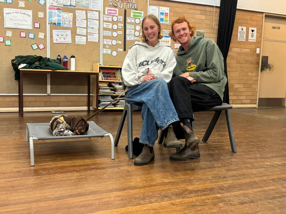 puppy preschool (1)